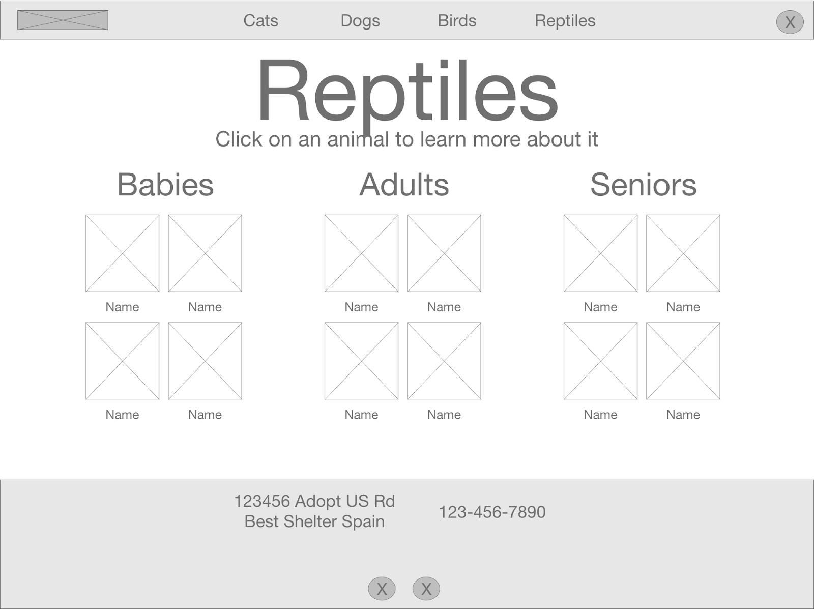 reptile page